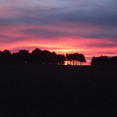 Timeline: Historia de mi vida