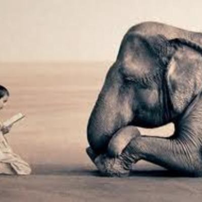 Timeline: Drew's Reading Log 2013