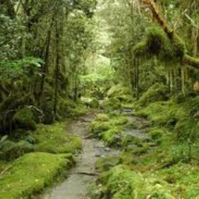 Timeline: My Life Through History