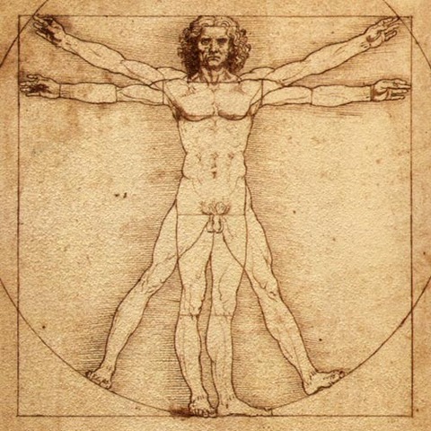 Drawing of the Vitruvian Man