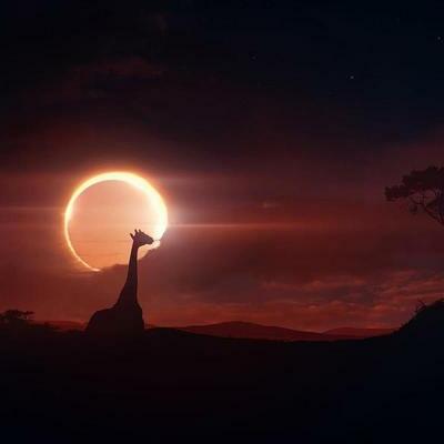 Timeline: Mediasferas