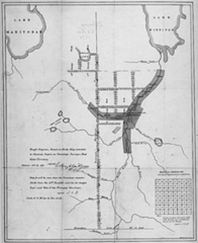 McDougall’s Survey