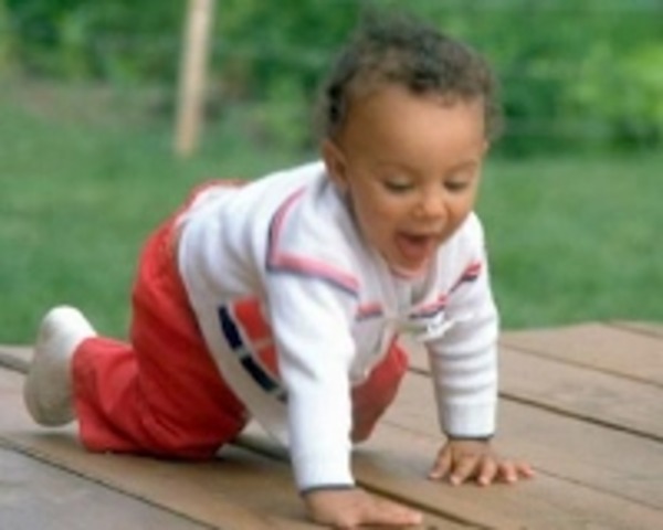 Infant - 8-10 Months