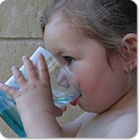 Toddler - 2 Years Old