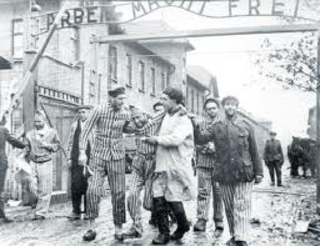 Auschwitz Liberated