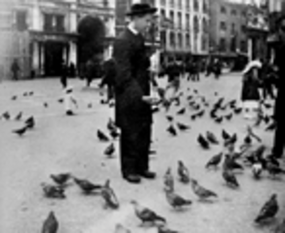 Father Browne SJ Photographic