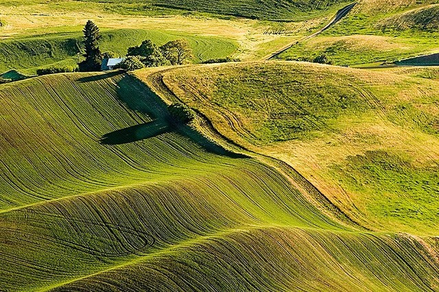 Anthony Johnson acquires land # 1