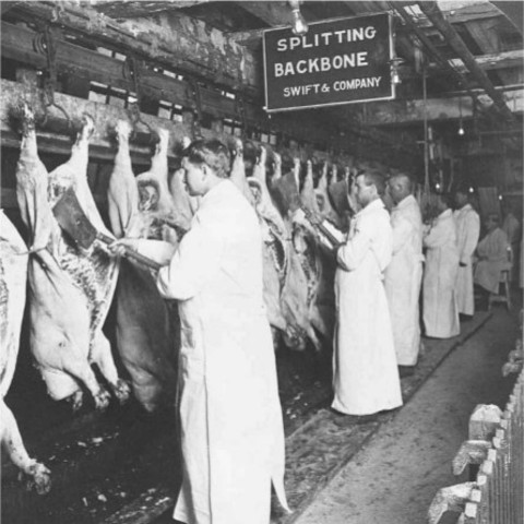 Upton Sinclair's The Jungle