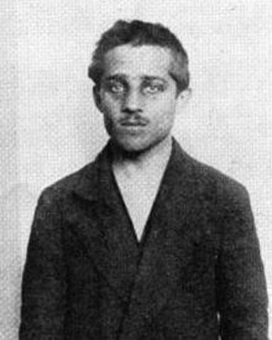 Gavrilo Princip Arrested