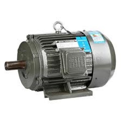 Timeline: Induction Electric Motor