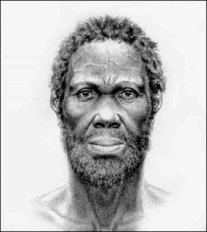 Homo sapiens (20.000 años)