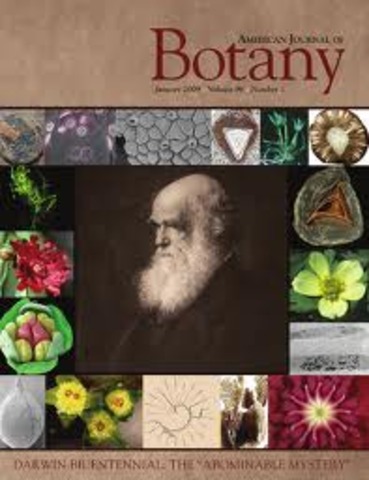 Publicó Fertilización de las orquídeas por los insectos