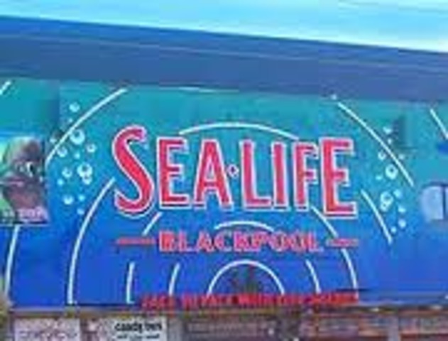 Blackpool Sea Life Centre opens