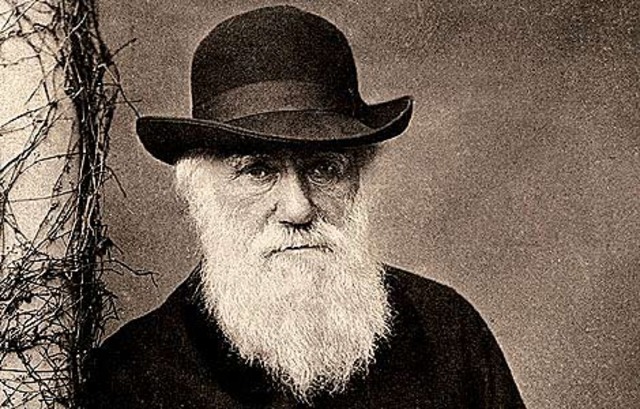 Investigaciones sobre las semillas