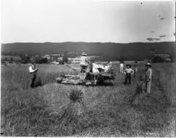 Harvesting Machine Reaper