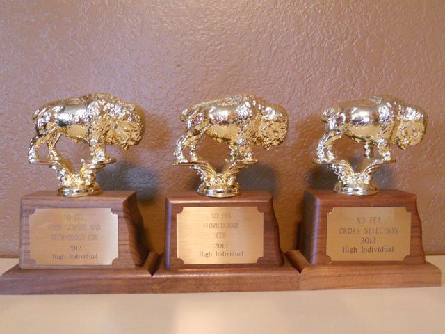 Gane tres concursos en Floricultura, ciencias de comida, y Crops Judging.