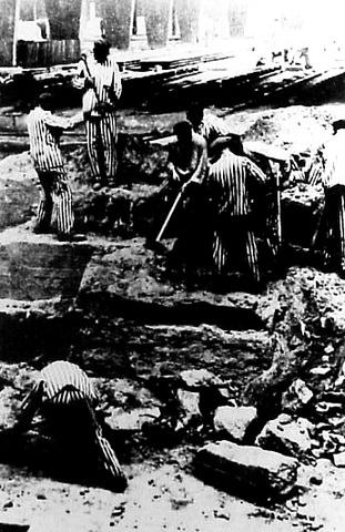 Ch.17 Sec.1 The Great Purge