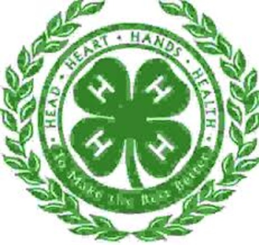 4-H