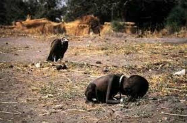 Kevin carter
