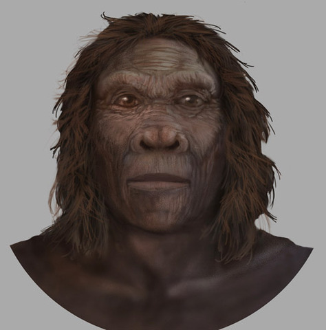 Homo Habilis (2.000.000 años)