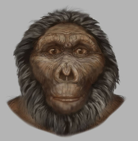 Paranthropus bosei (1.500.000)
