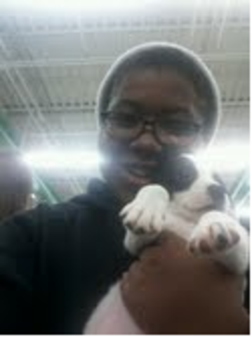 this is the dog i grew to want