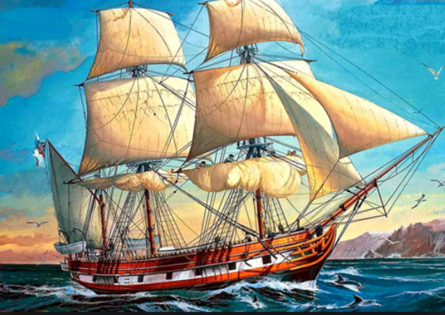 Naturalista a bordo del Beagle