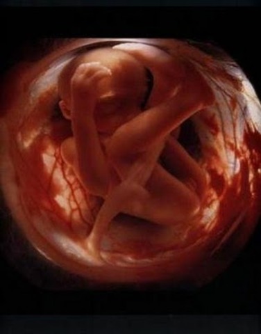 Baby development week 10