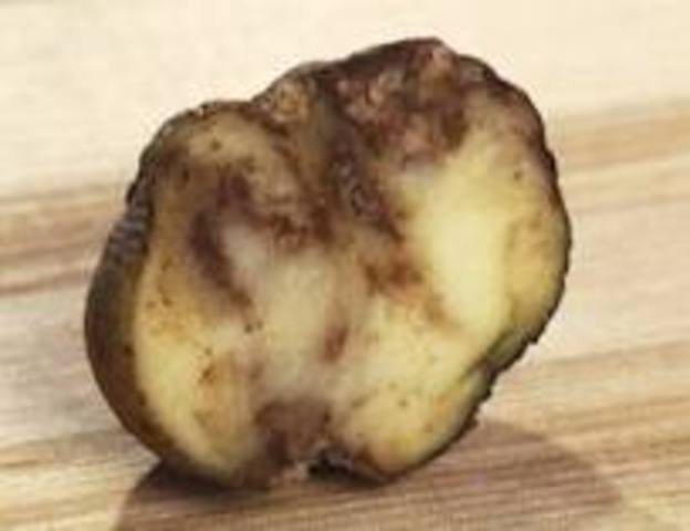 Arrival at Ellis Island