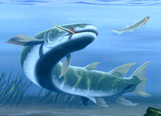 mya First Jawed Fish