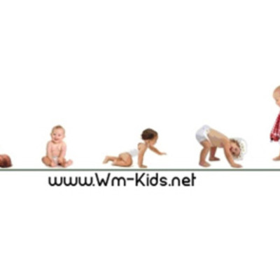 Timeline: Motor Development in infancy