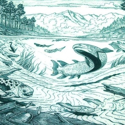 Timeline: Devonian Period