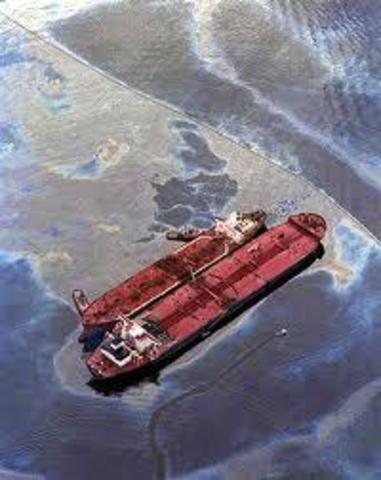Exxon Valdez Oil Spill