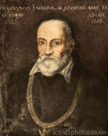 Hieronimus Fabricius