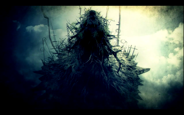 The Old Growth Appears