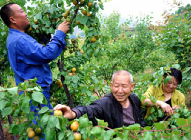 Mao Zedong's Communist Party gains support from the peasants