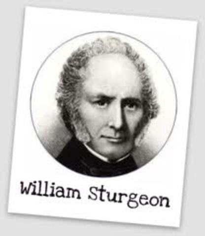 William Sturgeon