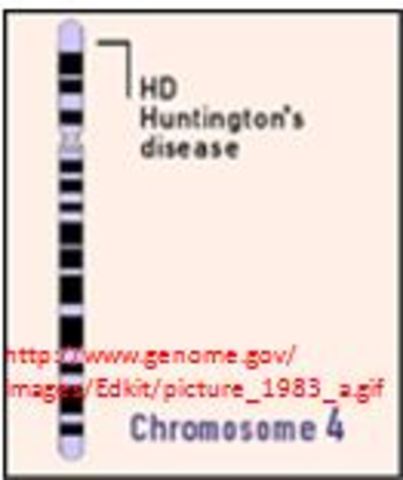 First Genetic Disease Mapped