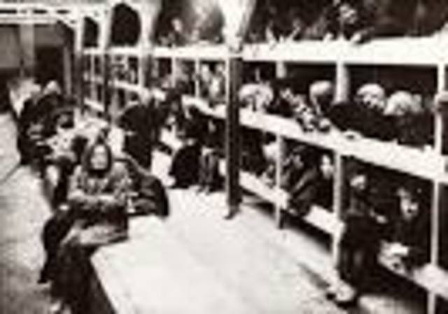 Creation of Auschwitz
