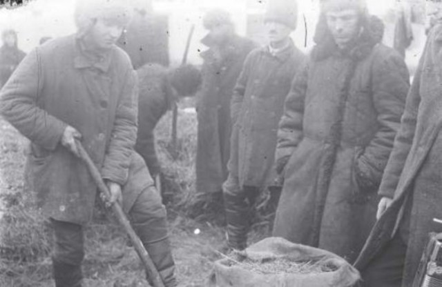 "закон о пяти колосках"