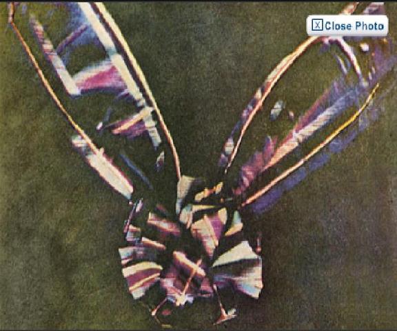 1st coloured photograph