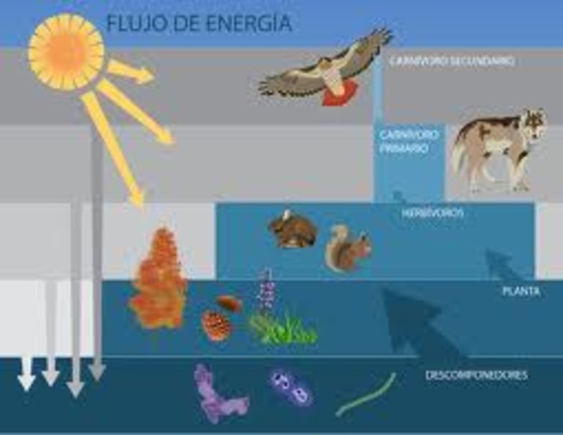 Ley de la Termodinámica