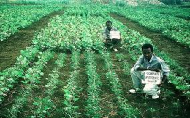 Al-Shabaab claims they are improving Somalia