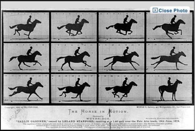 The First action photo