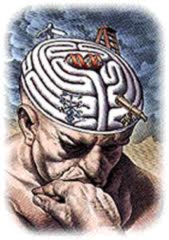 Se despierta un gran interés por la medición científica de las conductas humanas.