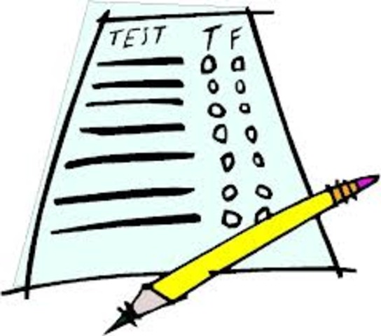 Se desarrolla una actividad evaluativa intensa conocida como «testing».