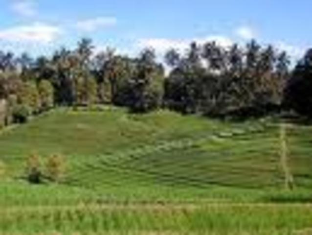 Spring and Autumn Period