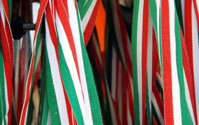 italy is a one party state