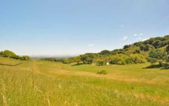 Anthony the Negro aquires Land in Northampton County