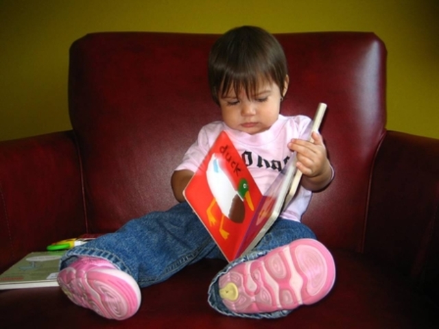 Cognitive development in toddlers